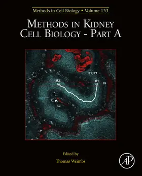 Weimbs |  Methods in Kidney Cell Biology Part A | eBook | Sack Fachmedien