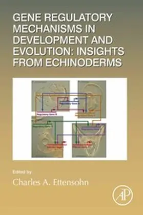  Gene Regulatory Mechanisms in Development and Evolution: Insights from Echinoderms | eBook | Sack Fachmedien