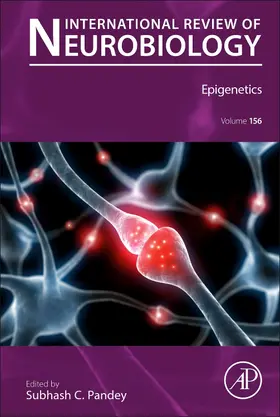  Epigenetics | Buch |  Sack Fachmedien