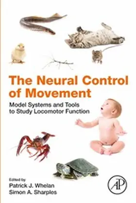 Whelan / Sharples | The Neural Control of Movement | E-Book | sack.de
