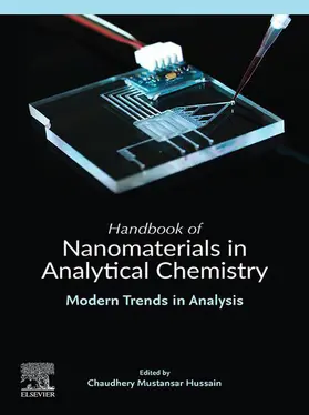 Mustansar Hussain |  Handbook of Nanomaterials in Analytical Chemistry | eBook | Sack Fachmedien