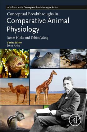 Hicks / Wang | Conceptual Breakthroughs in Comparative Animal Physiology | Buch | 978-0-12-817366-4 | sack.de