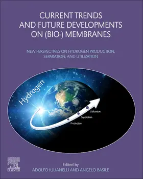 Iulianelli / Basile |  Current Trends and Future Developments on (Bio-) Membranes: New Perspectives on Hydrogen Production, Separation, and Utilization | Buch |  Sack Fachmedien