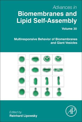 Lipowsky | Multiresponsive Behavior of Biomembranes and Giant Vesicles | Buch | 978-0-12-817483-8 | sack.de