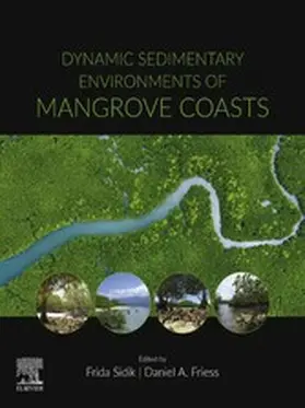 Friess / Sidik | Dynamic Sedimentary Environments of Mangrove Coasts | E-Book | www.sack.de