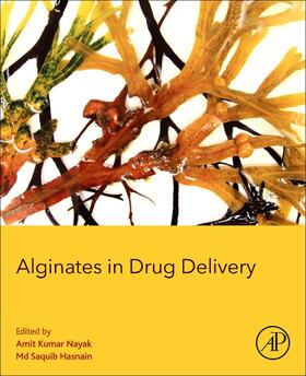 Nayak / Hasnain | Alginates in Drug Delivery | Buch | 978-0-12-817640-5 | sack.de
