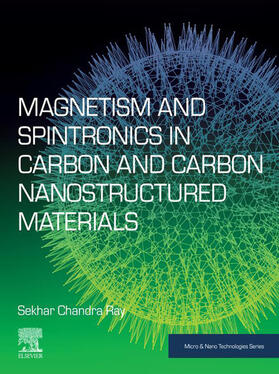 Magnetism and Spintronics in Carbon and Carbon Nanostructured Materials | E-Book | sack.de