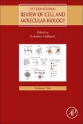  International Review of Cell and Molecular Biology | Buch |  Sack Fachmedien