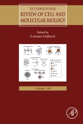 Galluzzi |  International Review of Cell and Molecular Biology | eBook | Sack Fachmedien