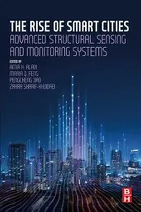 Alavi / Feng / Jiao | The Rise of Smart Cities | E-Book | www.sack.de