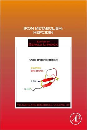 Litwack | Iron Metabolism: Hepcidin | Buch | 978-0-12-817842-3 | sack.de