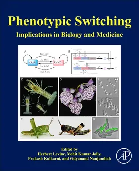 Levine / Jolly / Kulkarni |  Phenotypic Switching | Buch |  Sack Fachmedien