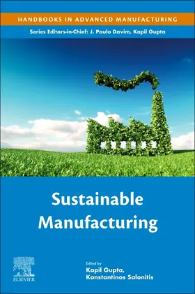 Gupta / Salonitis | Sustainable Manufacturing | Buch | 978-0-12-818115-7 | www.sack.de