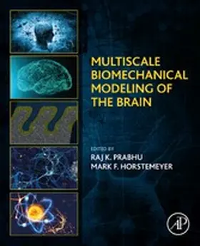 Horstemeyer / Prabhu | Multiscale Biomechanical Modeling of the Brain | E-Book | sack.de