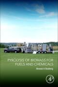 Boateng |  Pyrolysis of Biomass for Fuels and Chemicals | Buch |  Sack Fachmedien
