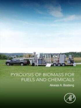 Pyrolysis of Biomass for Fuels and Chemicals | E-Book | sack.de