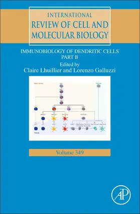 Galluzzi | Immunobiology of Dendritic Cells Part B | Buch | 978-0-12-818357-1 | sack.de