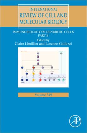 Galluzzi | Immunobiology of Dendritic Cells Part B | Buch | sack.de