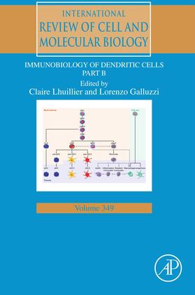 Galluzzi / Lhuillier | Immunobiology of Dendritic Cells Part B | E-Book | sack.de