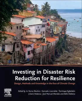 Martins / Lizarralde / Egbelakin |  Investing in Disaster Risk Reduction for Resilience | Buch |  Sack Fachmedien