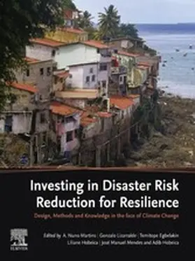 Martins / Lizarralde / Egbelakin |  Investing in Disaster Risk Reduction for Resilience | eBook | Sack Fachmedien
