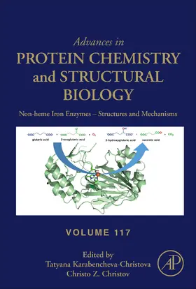 Karabencheva-Christova / Christov | Non-heme Iron Enzymes: Structures and Mechanisms | E-Book | www.sack.de