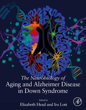 Head / Lott |  The Neurobiology of Aging and Alzheimer Disease in Down Syndrome | Buch |  Sack Fachmedien