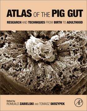 Zabielski / Skrzypek | Atlas of the Pig Gut | Buch | sack.de