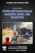 Paron |  Hydro-Meteorological Hazards, Risks, and Disasters | eBook | Sack Fachmedien