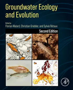 Griebler / Retaux |  Groundwater Ecology and Evolution | Buch |  Sack Fachmedien