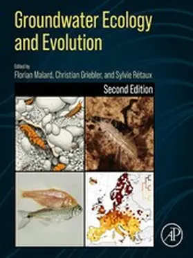 Malard / Griebler / Retaux | Groundwater Ecology and Evolution | E-Book | www.sack.de