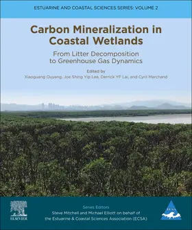Ouyang / Lee / Lai |  Carbon Mineralization in Coastal Wetlands | Buch |  Sack Fachmedien