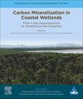Marchand / Ouyang / Lai |  Carbon Mineralization in Coastal Wetlands | Buch |  Sack Fachmedien