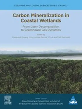 Ouyang / Lee / Lai | Carbon Mineralization in Coastal Wetlands | E-Book | sack.de