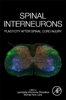 Zholudeva / Lane | Spinal Interneurons | Buch | 978-0-12-819260-3 | www.sack.de