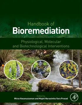 Hasanuzzaman / Vara Prasad |  Handbook of Bioremediation | Buch |  Sack Fachmedien