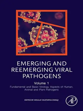 Ennaji | Emerging and Reemerging Viral Pathogens | E-Book | www.sack.de