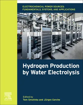 Electrochemical Power Sources: Fundamentals, Systems, and Applications | Buch | 978-0-12-819424-9 | sack.de