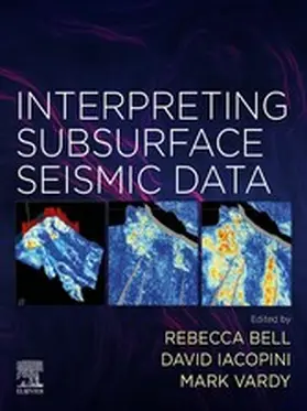Bell / Iacopini / Vardy | Interpreting Subsurface Seismic Data | E-Book | www.sack.de