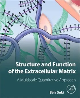 Suki | Structure and Function of the Extracellular Matrix | Buch | 978-0-12-819716-5 | sack.de