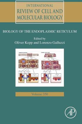 Galluzzi | International Review of Cell and Molecular Biology | E-Book | sack.de