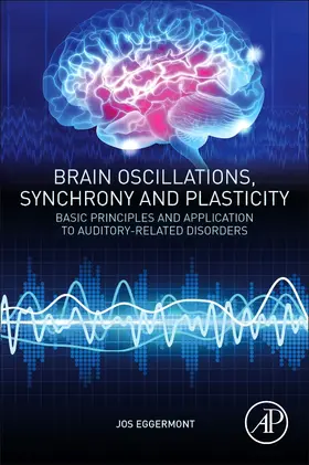 Eggermont |  Brain Oscillations, Synchrony and Plasticity | Buch |  Sack Fachmedien