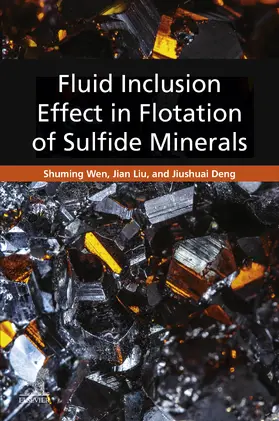 Wen / Liu / Deng |  Fluid Inclusion Effect in Flotation of Sulfide Minerals | eBook | Sack Fachmedien