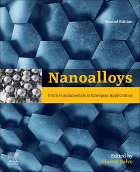 Calvo |  Nanoalloys | Buch |  Sack Fachmedien