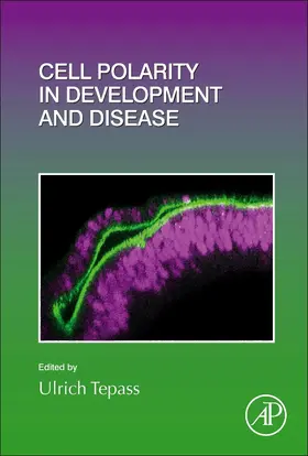 Cell Polarity in Development and Disease | Buch | 978-0-12-820158-9 | sack.de
