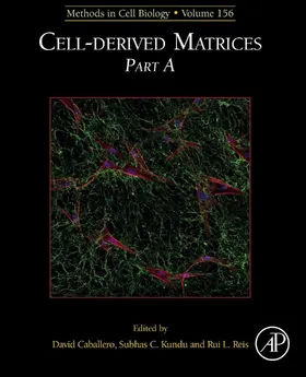 Caballero |  Cell-derived Matrices Part A | eBook | Sack Fachmedien