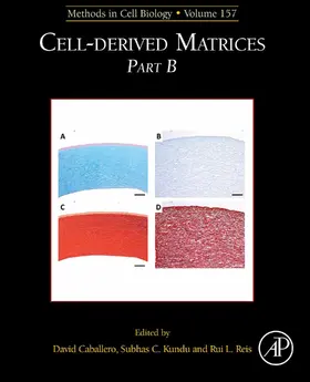 Caballero |  Cell-Derived Matrices Part B | eBook | Sack Fachmedien