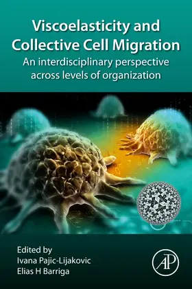 Barriga |  Viscoelasticity and Collective Cell Migration | Buch |  Sack Fachmedien