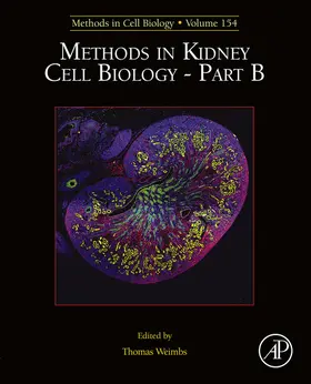 Weimbs | Methods in Kidney Cell Biology Part B | E-Book | sack.de