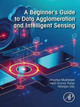 Mukherjee / Kumar Panja / Dey | A Beginner's Guide to Data Agglomeration and Intelligent Sensing | E-Book | www.sack.de
